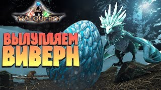 РАСТИМ ЛЕДЯНЫХ ВИВЕРН И РОЗЫГРЫШ ДИНО - ARK VALGUERO