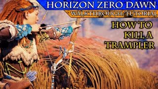 Horizon Zero Dawn: How to Kill a Trampler Easily