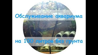 Обслуживание аквариума на 100 литров без грунта