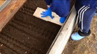 Посев редиса, салата и шпината в рассадник. Сеем с СУПЕР приспособлением!