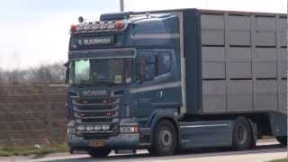 Nieuw scania r620 v8 - s.buurman b.v.