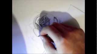 Как рисовать розу \ How to draw a rose