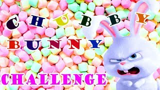 CHUBBY BUNNY CHALLENGE Зефир во рту Пухлый кролик // Kisa Alisa