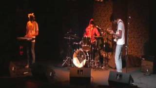 She's A Dandy Lion's Orange Tree/You're The Stooges All In One - Zebrawatchers (Live)