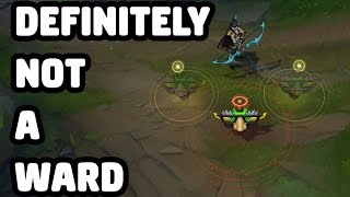 DEFINITELY NOT A WARD SKIN SPOTLIGHT