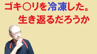 ゴキブリを冷凍した。生き返るだろうか　実験　※グロ注意※