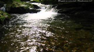 Marius Livanu - Doamne te rog