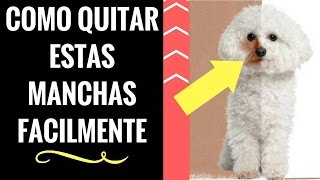 ?COMO ELIMINAR LAS MANCHAS DE LAGRIMAS y el MAL OLOR DE LA CARA de PERROS Y GATOS con?CLEAN EYES?