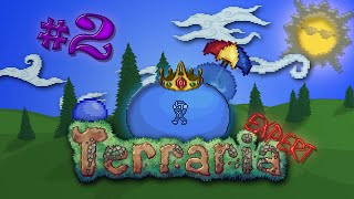 Выживание в Terraria (Expert) - Новый день, новые приключения! #2