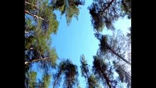Александр Маточкин В синем и далеком океане (песня А. Вертинского)
