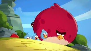 Злые птички - Энгри Бердс - Эль Свинадор (S1E41) || Angry Birds Toons
