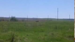 Жара в Крыму - 27 апреля 2017 года.
