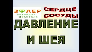 СС9 - ШЕЯ и ДАВЛЕНИЕ. Насколько эта связь принципиальна?