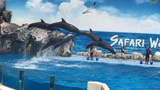 ฉลาดสุดๆ โชว์โลมา ซาฟารีเวิลด์ - Dolphin Show Safari World