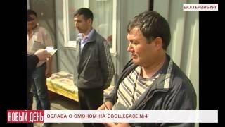 Облава на мигрантов, с погоней и задержаниями
