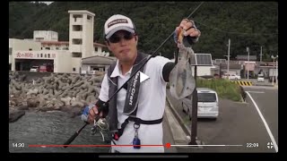 【エギング】ヒロセマン～秋イカ五目満喫術【陸っぱりティップラン＆ライト五目】