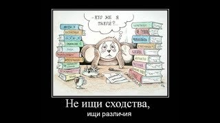 Предложение от секты: «Свидетели жопы Хэнка»