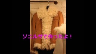 東大門光煕市場（ クァンヒシジャン）64号ソニルサ商品紹介