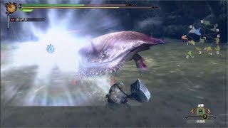 MH3G実況:（チャナガブルxハンマー）モガの森☆4村クエの緊急クエ･･･その12。。