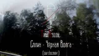 ТишеБудды — Чёрная Волга (жестовое пение)