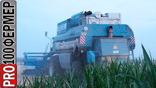 Уборка озимой пшеницы 2019. Часть 1