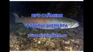 Про тайменя. Ответы эксперта.