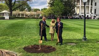 Emmanuel Macron et Donald Trump ont planté un chêne ensemble à la Maison Blanche.