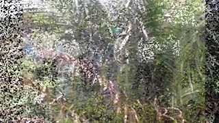 Orji Uzor Kalu's multi billion dollar STEEL MILL Igbere