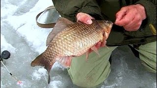 Ловля карася зимой со льда// Зимняя рыбалка