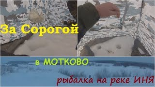 Рыбалка в Сибири #59. Зимняя рыбалка на реке Иня в Мотково (лещ, елец, сорога). 12 февраля 2019.