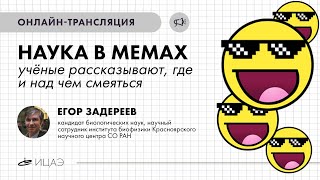 Наука в мемах: Егор Задереев