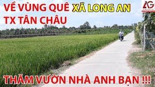 VỀ VÙNG QUÊ XÃ LONG AN - THỊ XÃ TÂN CHÂU THĂM VƯỜN NHÀ ANH BẠN | AN GIANG NGÀY NAY