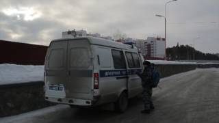 Собаки на службе полиции (анонс)