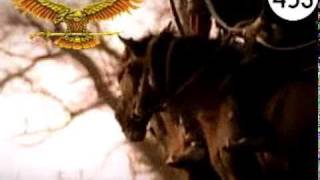 The European Huns - Atilla's Realm