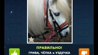 ОТВЕТЫ игра "НАЙДИ СЛОВА-2" 171, 172, 173, 174, 175, 176, 177,178, 179, 180 уровень.