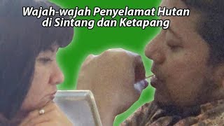 Inilah Wajah-wajah Penyelamat Hutan di Kabupaten Sintang dan Ketapang