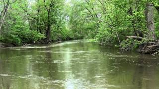 Sony FDR-AX33 4K Test Footage