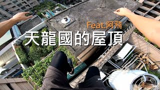 天龍國的屋頂 ft.阿飛 / 螞蟻跑酷