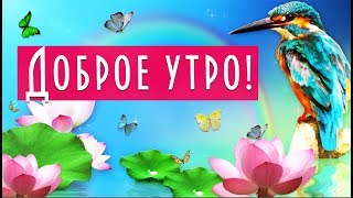 ?С Добрым утром!?С новым чудесным днем!?