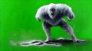 Сборник фантастических футажей на зеленом фоне хромакей