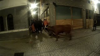 Sokamuturra Azpeitia (20 enero 2020) Ganadería Arno