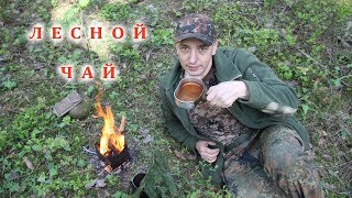 Чай☕ из иголок