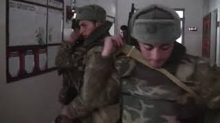 Եղնիկներ