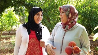 ماجدة المراكشية في ضيافة عند وفاء في المزرعة