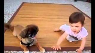 Bambini e animali -Mamme nella rete