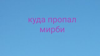 Куда пропал мирби