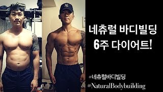 네츄럴 6주 컷팅! 6 WEEKS BODY TRANSFORMATION