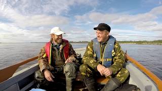 Рыбалка летом на реке Печора. Окунь жрет всё!!!