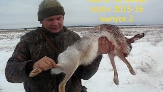 Охота на зайца. Ура снег.