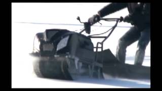 Мотособаки MotoDog